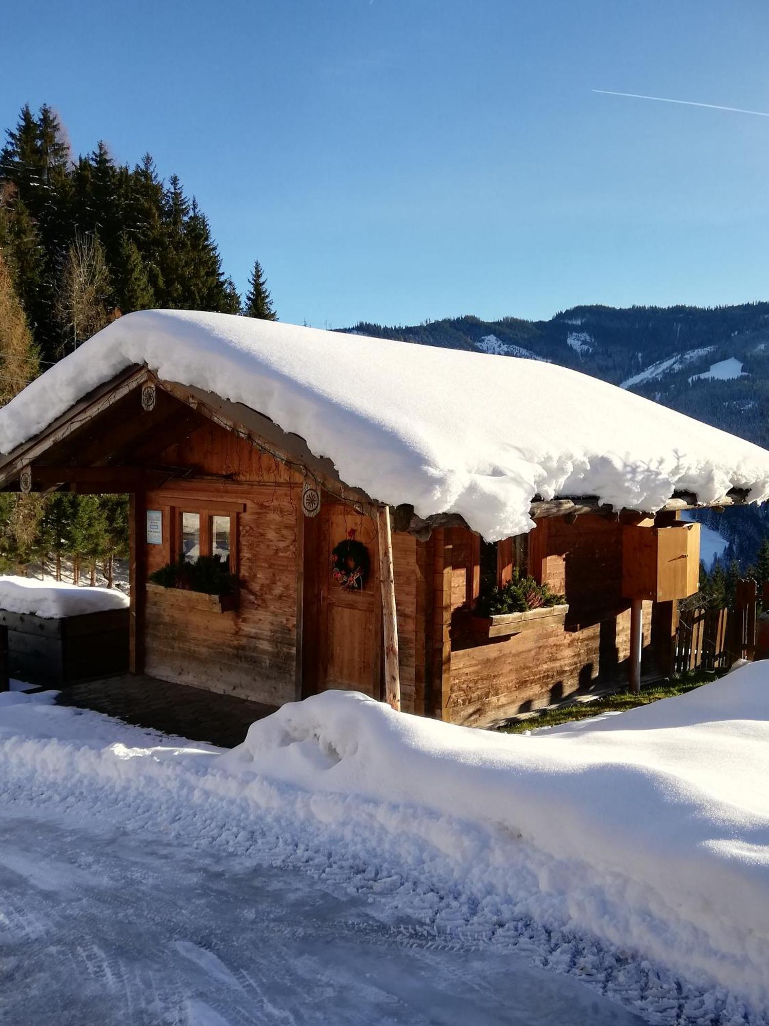 Mühlbach am Hochkönig Bauernhof Bachgutヴィラ エクステリア 写真