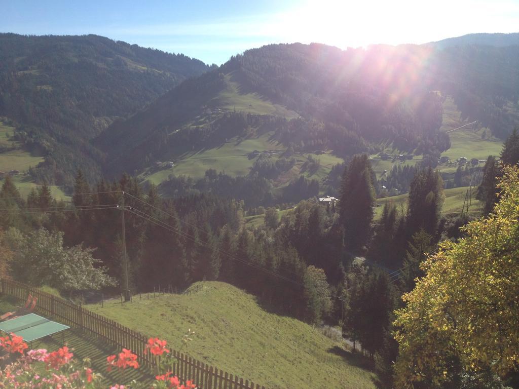 Mühlbach am Hochkönig Bauernhof Bachgutヴィラ 部屋 写真