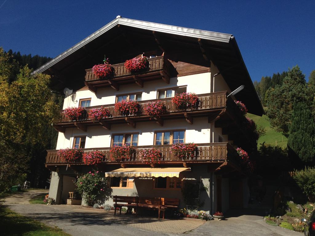 Mühlbach am Hochkönig Bauernhof Bachgutヴィラ エクステリア 写真
