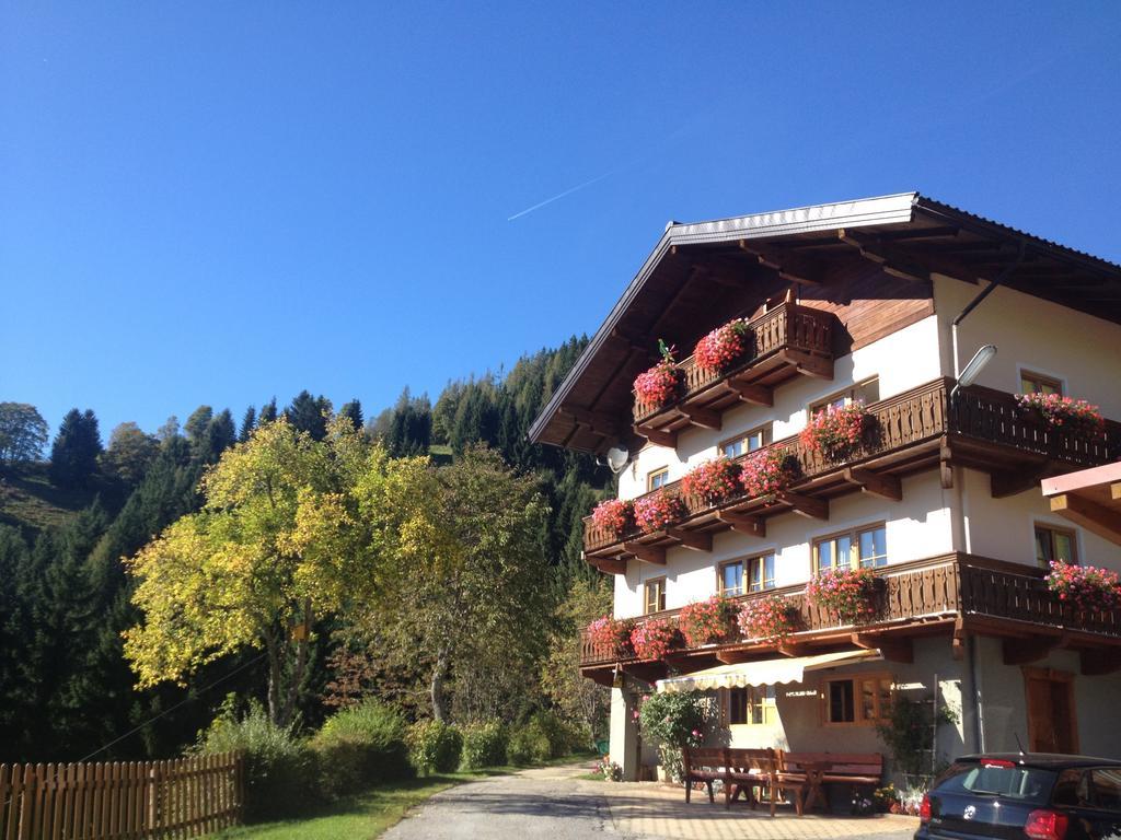 Mühlbach am Hochkönig Bauernhof Bachgutヴィラ エクステリア 写真
